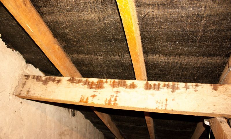 Attic Water Damage Repair in Katy, TX